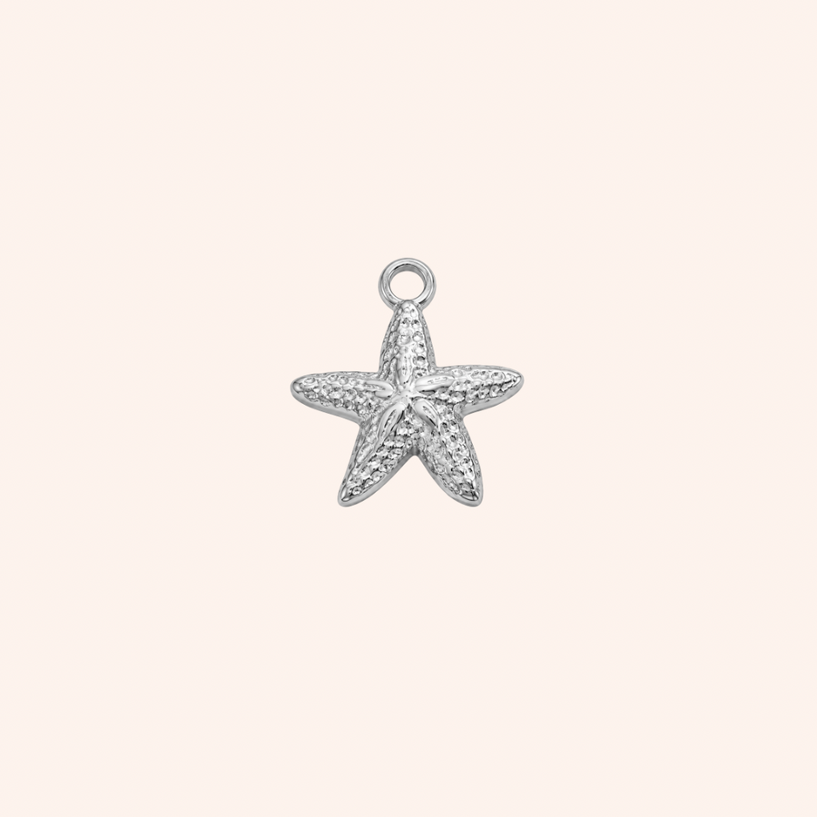Colgante Estrella de Mar