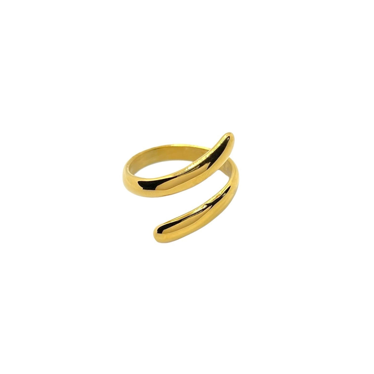 Anello Dana - dettaglio