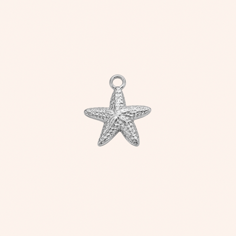 Colgante Estrella de Mar
