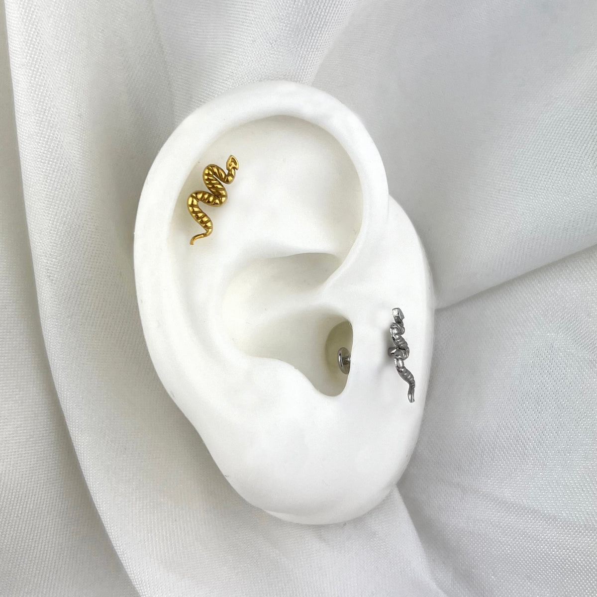 Tragus Snake