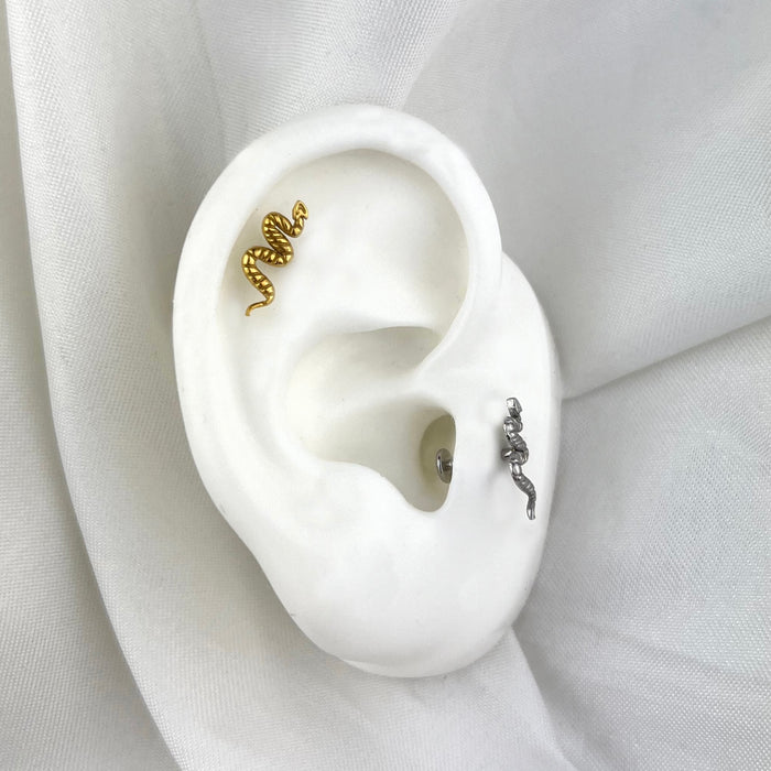 Tragus Snake