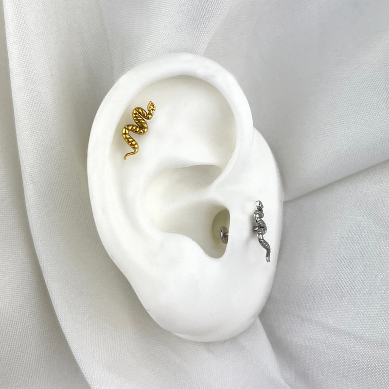 Tragus Snake