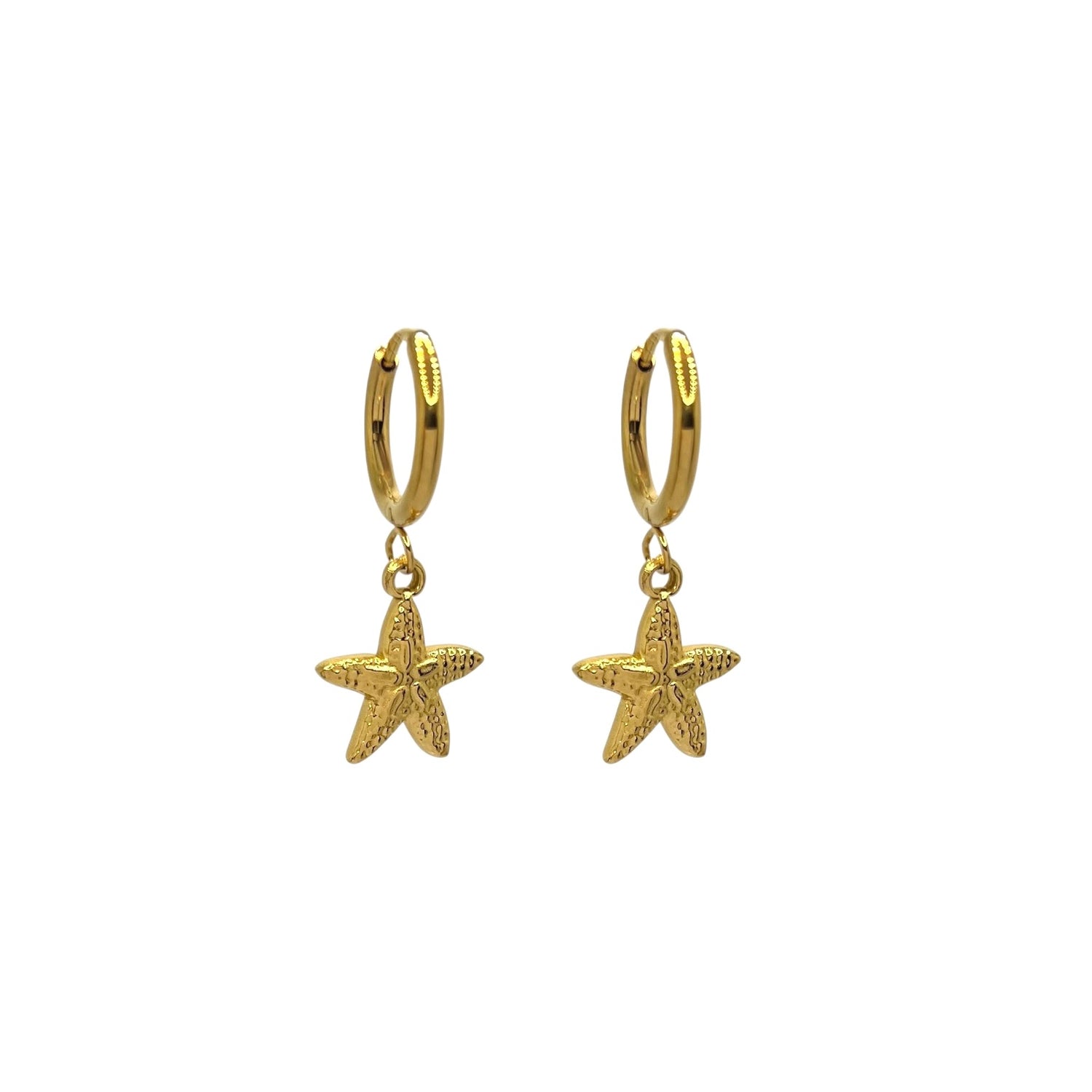Orecchini Cerchietto Stella Marina SS25