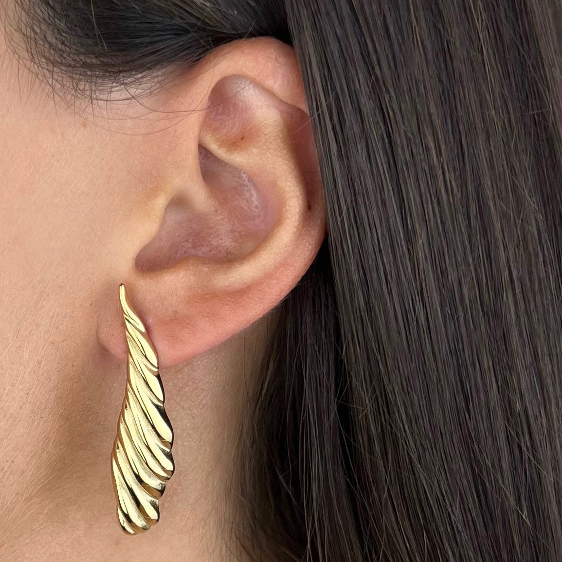 Pendientes de alas