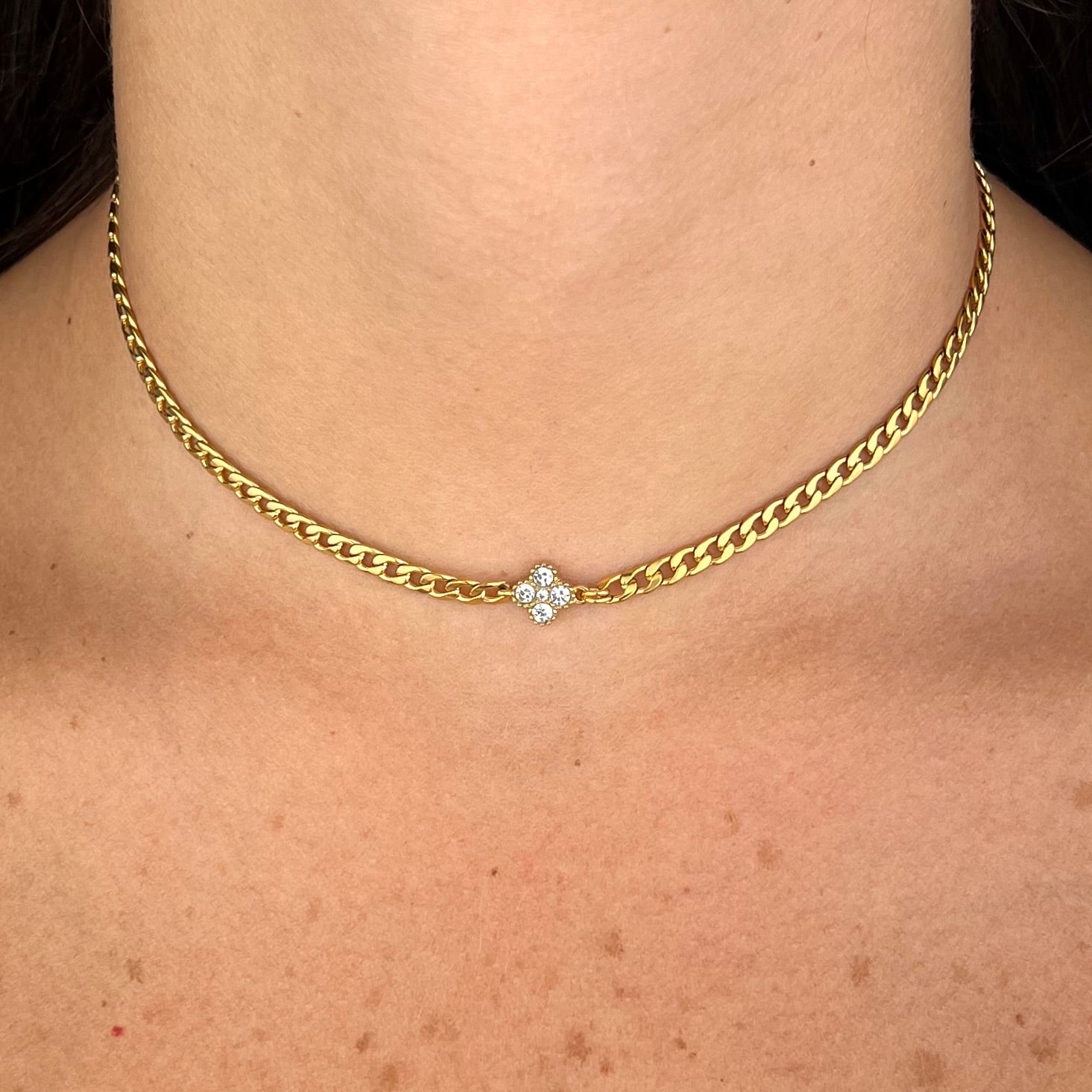Collana Chain cleaf (Novità)