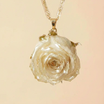Collana Rosae - vista frontale