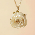Collana Rosae - vista frontale