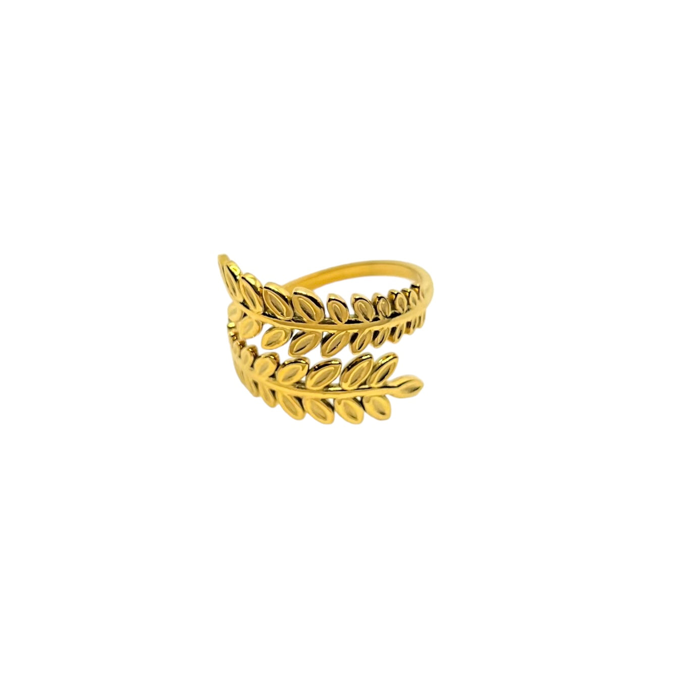 Anillo de folleto