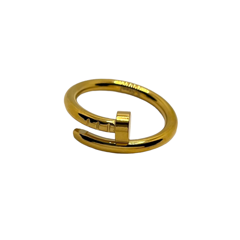 Anello Chiodo - dettaglio